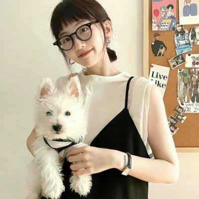 儿女英雄传